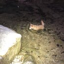 Atti and Rachel at Campbell's Hole (995487)