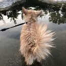 Atti and Rachel at Campbell's Hole (995842)