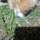 Some Random House Pics (996564)