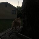 Atticus Finch! (996217)