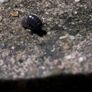 Some Random House Pics (994921)