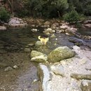 Atti and Rachel at Campbell's Hole (996912)