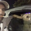 Atticus Finch! (995288)