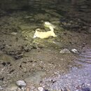 Atti and Rachel at Campbell's Hole (996111)