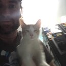 Feeding the Neighbor's Kittens (995826)