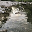 Atti and Rachel at Campbell's Hole (996210)