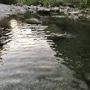 Atti and Rachel at Campbell's Hole (993443)