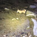 Atti and Rachel at Campbell's Hole (994015)