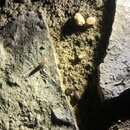 Some Random House Pics (994040)