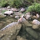 Atti and Rachel at Campbell's Hole (997425)