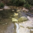 Atti and Rachel at Campbell's Hole (995137)