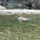 Atti and Rachel at Campbell's Hole (995400)