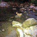 Atti and Rachel at Campbell's Hole (995689)