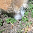 Some Random House Pics (994907)