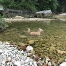 Atti and Rachel at Campbell's Hole (994781)