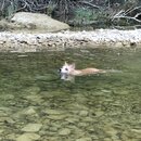 Atti and Rachel at Campbell's Hole (993426)