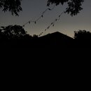 Atticus Finch! (993547)