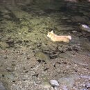 Atti and Rachel at Campbell's Hole (994902)