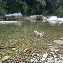 Atti and Rachel at Campbell's Hole (994061)