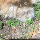 Some Random House Pics (993876)