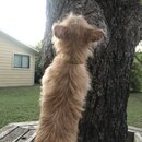 Atticus Finch! (996928)