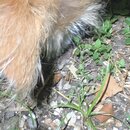 Some Random House Pics (994939)