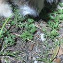 Some Random House Pics (993563)