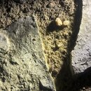 Some Random House Pics (994551)