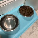 Feeding the Neighbor's Kittens (994344)