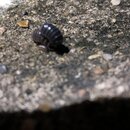 Some Random House Pics (993881)