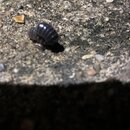 Some Random House Pics (995833)