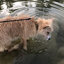 Atti and Rachel at Campbell's Hole (994384)