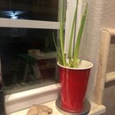 Some Random House Pics (996556)