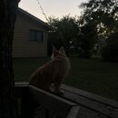 Atticus Finch! (994636)