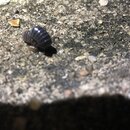 Some Random House Pics (996913)