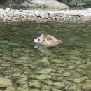 Atti and Rachel at Campbell's Hole (997126)