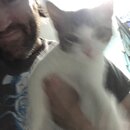 Feeding the Neighbor's Kittens (995175)