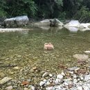 Atti and Rachel at Campbell's Hole (994247)