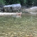 Atti and Rachel at Campbell's Hole (996342)