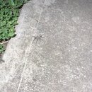 Some Random House Pics (995728)