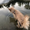 Atti and Rachel at Campbell's Hole (995218)