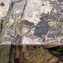 Stans Heating and Cooling A/C Repair (996799)