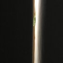 Atti and a Lizard (997461)