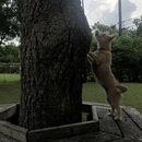 Rachel and Atti (995357)