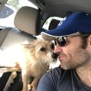 Tracking Atti's Intestinal Illness (996571)