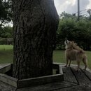 Rachel and Atti (997646)