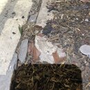 Stans Heating and Cooling A/C Repair (993776)