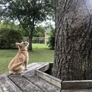 Rachel and Atti (994256)