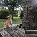 Rachel and Atti (993871)