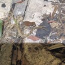 Stans Heating and Cooling A/C Repair (997049)